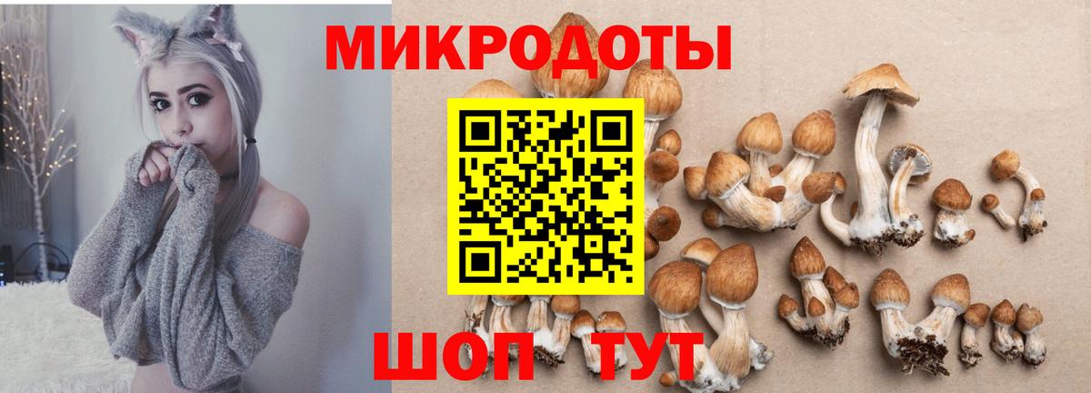 Советская Гавань  Псилоцибиновые грибы мицелий  Галлюциногенные грибы Cubensis  где можно купить   Вход с VPN 