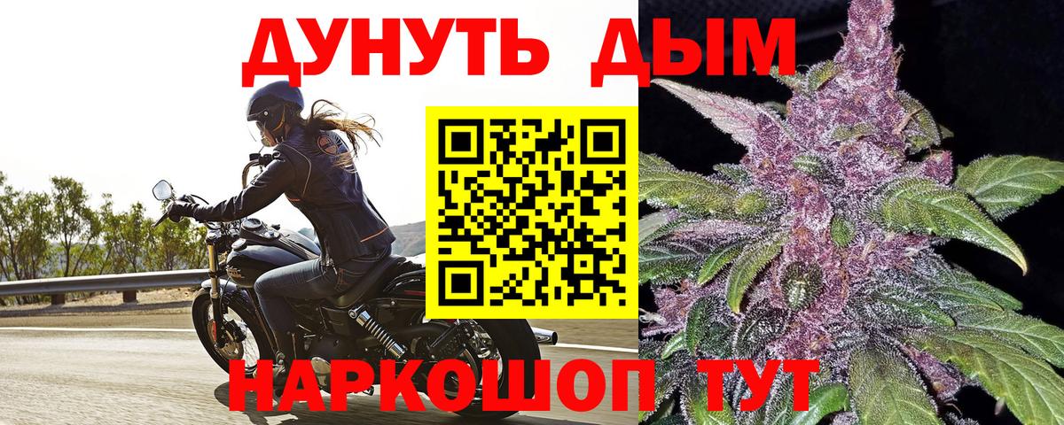 Канабис семена Советская Гавань